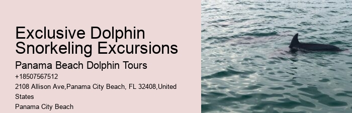 Secluded Dolphin Exploration with Snorkeling