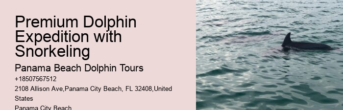 Panama City Beach dolphin discovery excursions