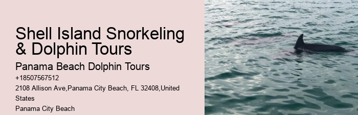 Split Romantic Dolphin Watching And Snorkeling Tours