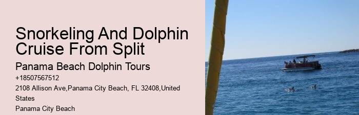 Are Panama City Beach dolphin tours environmentally friendly