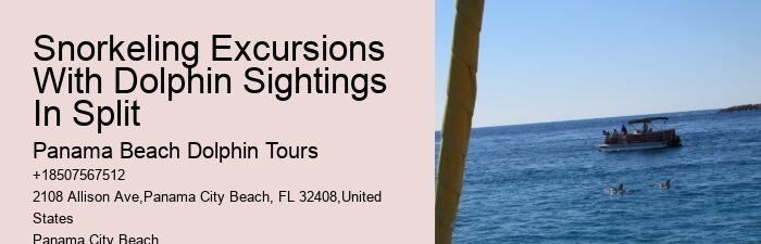 Dolphin Sightseeing Cruises in PCB