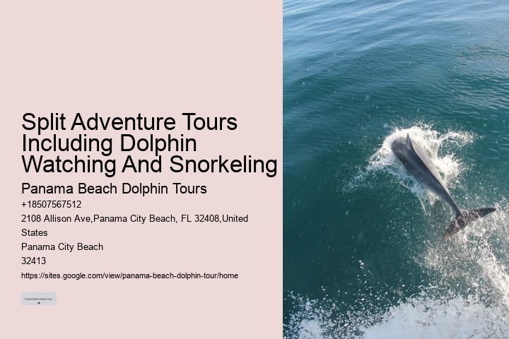 Panama City Beach dolphin exploration voyages