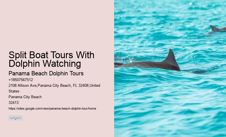 Split Expert-guided Snorkeling And Dolphin Adventures