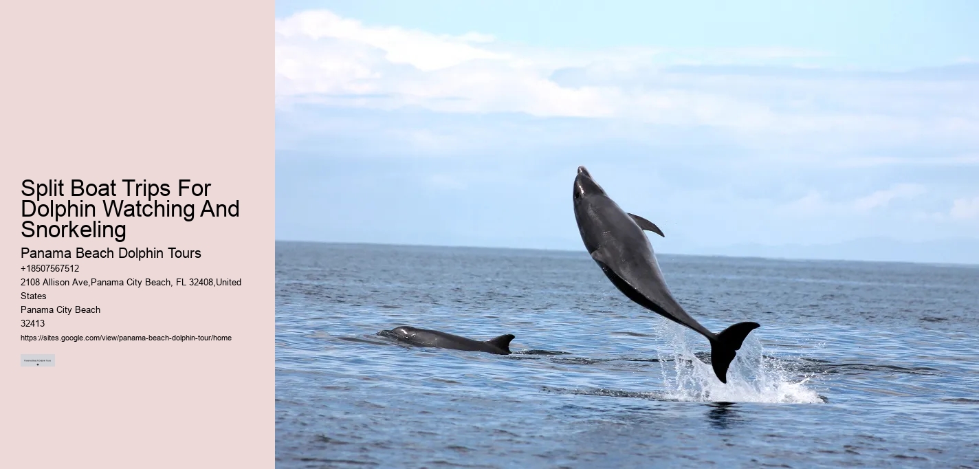 Is there a restroom on board the dolphin tour boats