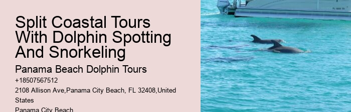 Panama City Beach wildlife tours including dolphins