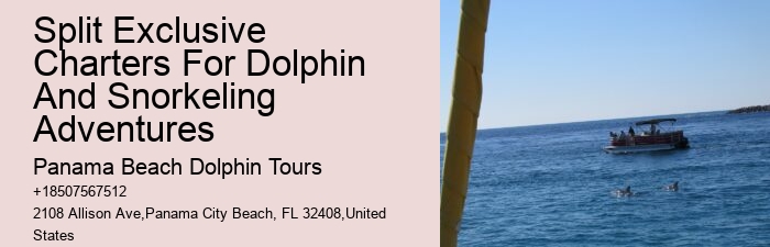 Are dolphin tours in Panama City Beach narrated by guides