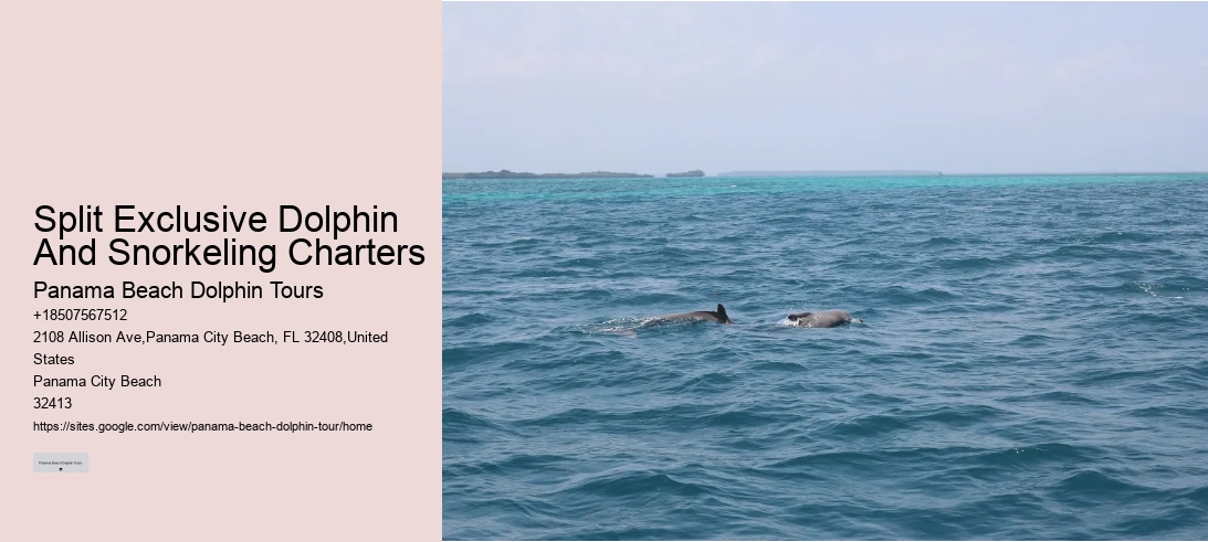 Split Exclusive Dolphin And Snorkeling Charters