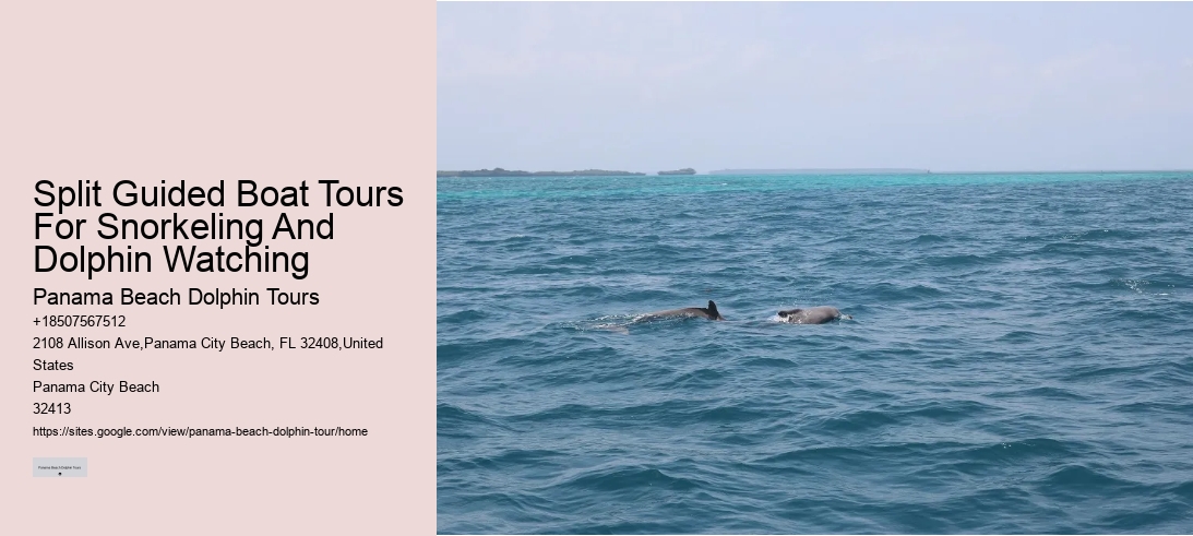 Split Guided Boat Tours For Snorkeling And Dolphin Watching