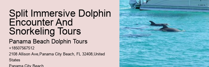 PCB Dolphin Spotting Cruises