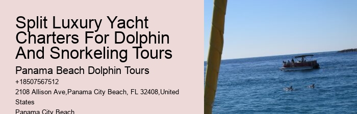 Dolphin Tours In Panama City Beach Florida