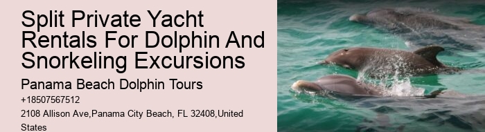 Split Exclusive Charters For Dolphin And Snorkeling Adventures