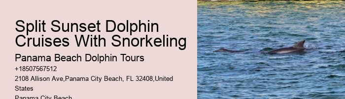 Blue Dolphin Snorkeling Tours