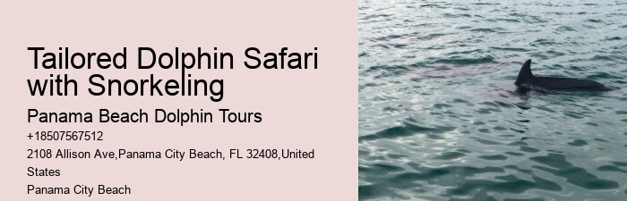 Panama City Beach dolphin adventure tours