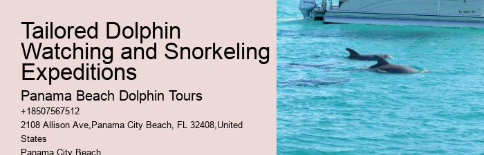 Split Snorkel And Swim With Dolphins Experiences