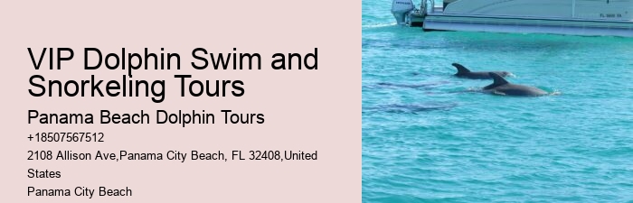 Customized Dolphin Exploration and Snorkeling Adventures