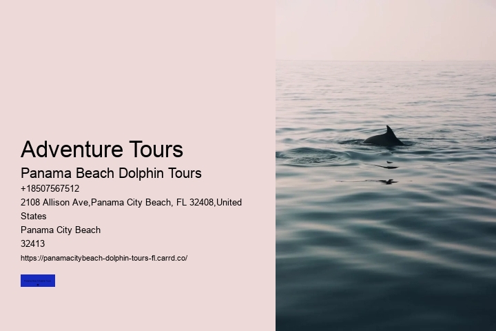 Adventure Tours