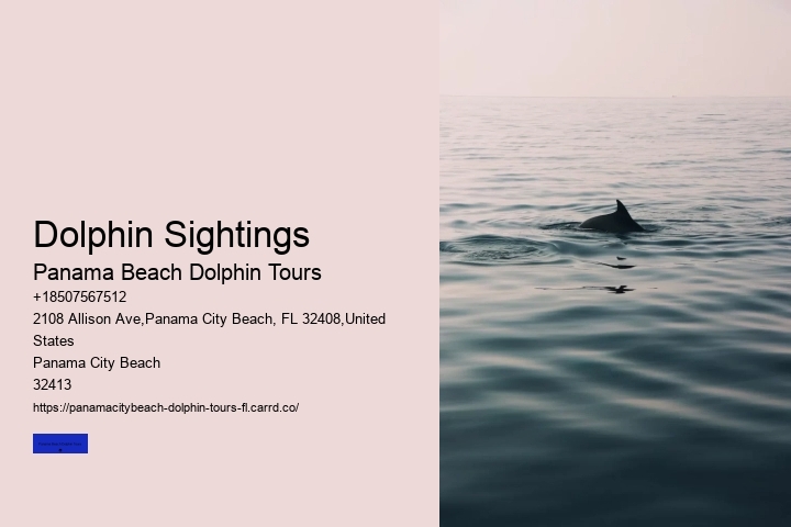 Dolphin Sightings