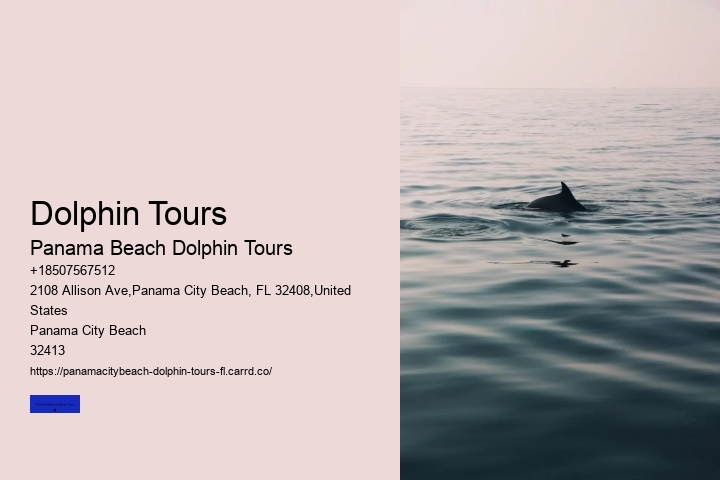 Dolphin Tours