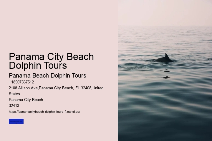 Panama City Beach Dolphin Tours