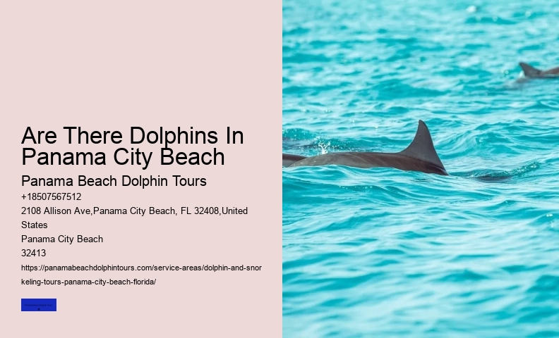 Panama City Beach Dolphin And Snorkel Tours