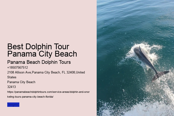 Daytime Dolphin Cruise Panama City Beach