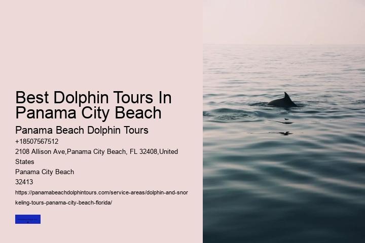 Panama City Beach Jet Ski Dolphin Tours