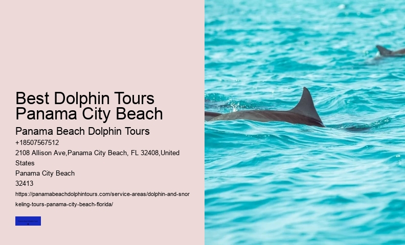 Dolphin & Whale Watching In Panama City Beach