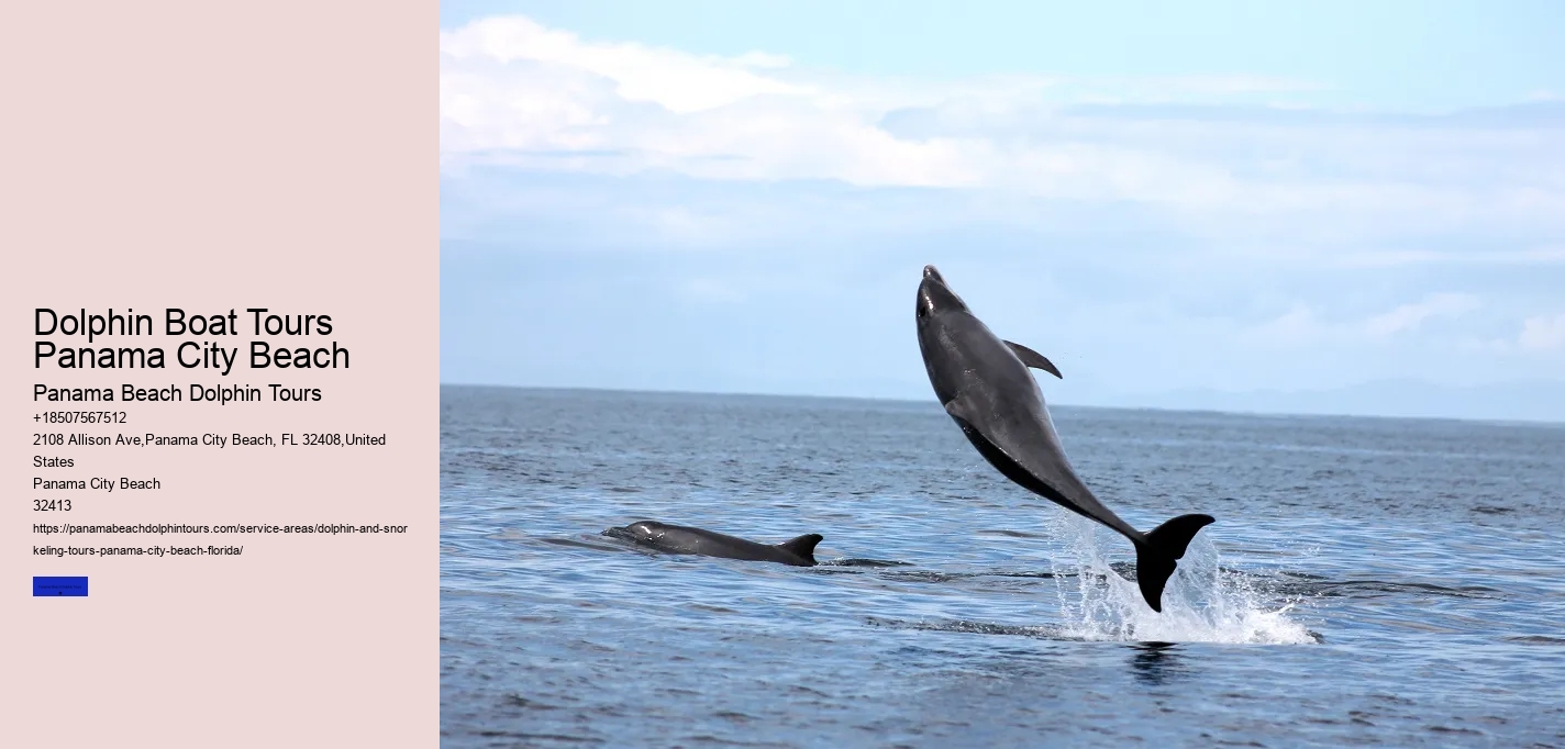 Dolphin Boat Tours Panama City Beach