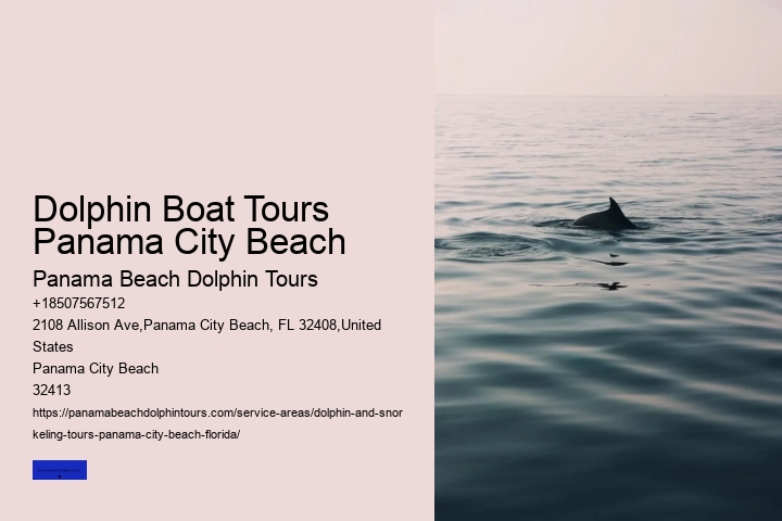 Are There Dolphins Near Panama City Beach