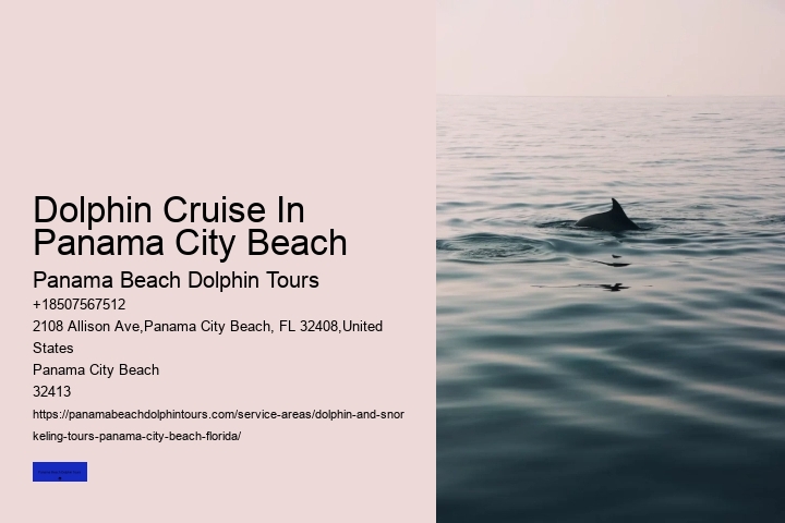 How Much Does It Cost To Swim With Dolphins In Panama City Beach