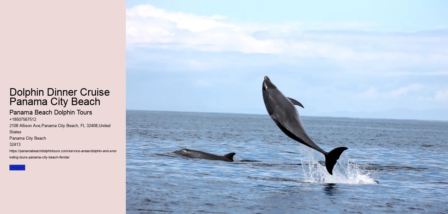 Dolphin Dinner Cruise Panama City Beach