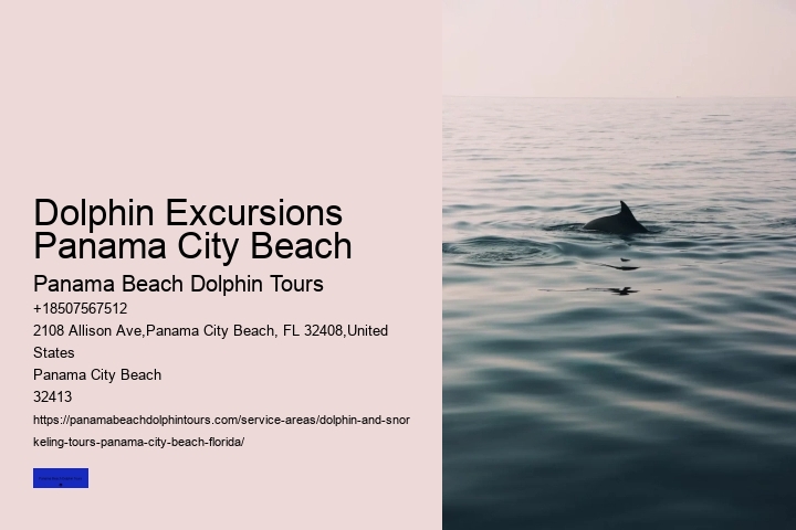 Panama City Beach Florida Dolphin Tours