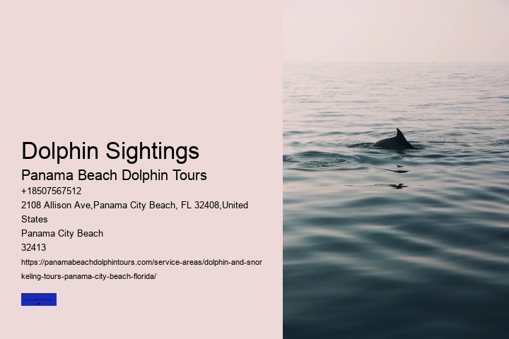 Dolphin Sightings