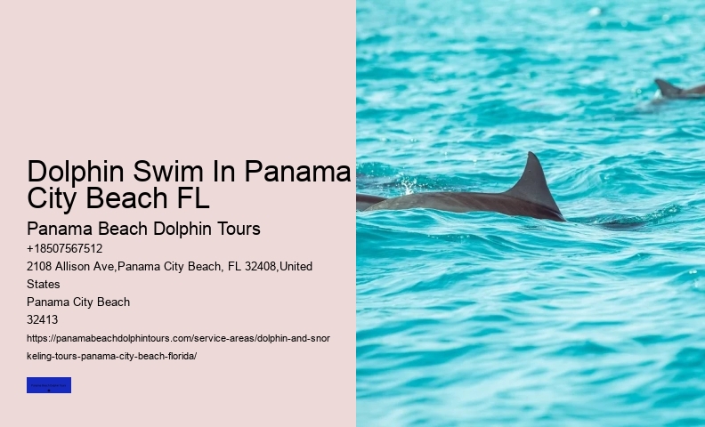 Best Boat Tours Panama City Beach