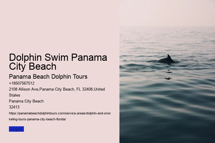 Dolphin Swim Panama City Beach