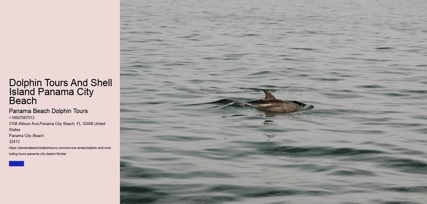 Dolphin Tours And Shell Island Panama City Beach