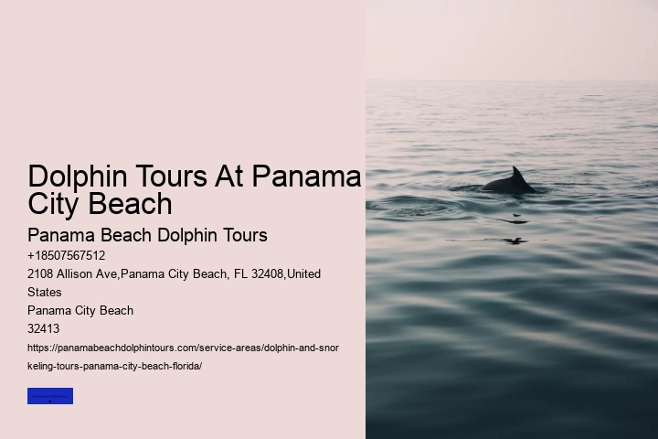 Dolphin Tours At Panama City Beach