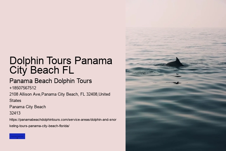 Dolphin Tours Panama City Beach FL