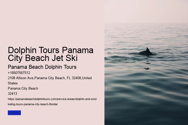 Can You Swim With Dolphins In Panama City Beach