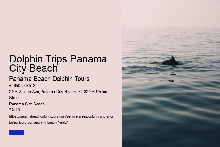 Dolphin Trips Panama City Beach