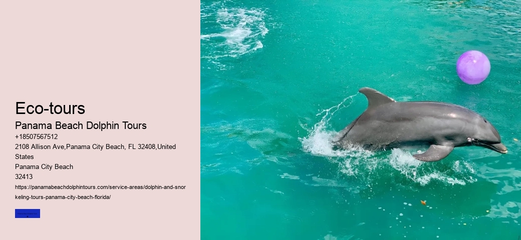 Panama City Beach Dolphin Tours & More Reviews