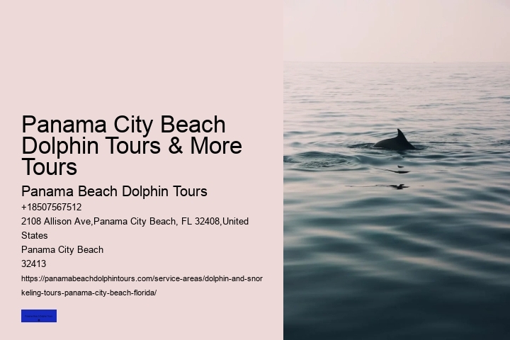 Panama City Beach Dolphin Tours & More Tours