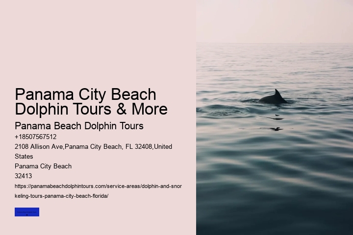 Panama City Beach Dolphin Tours & More