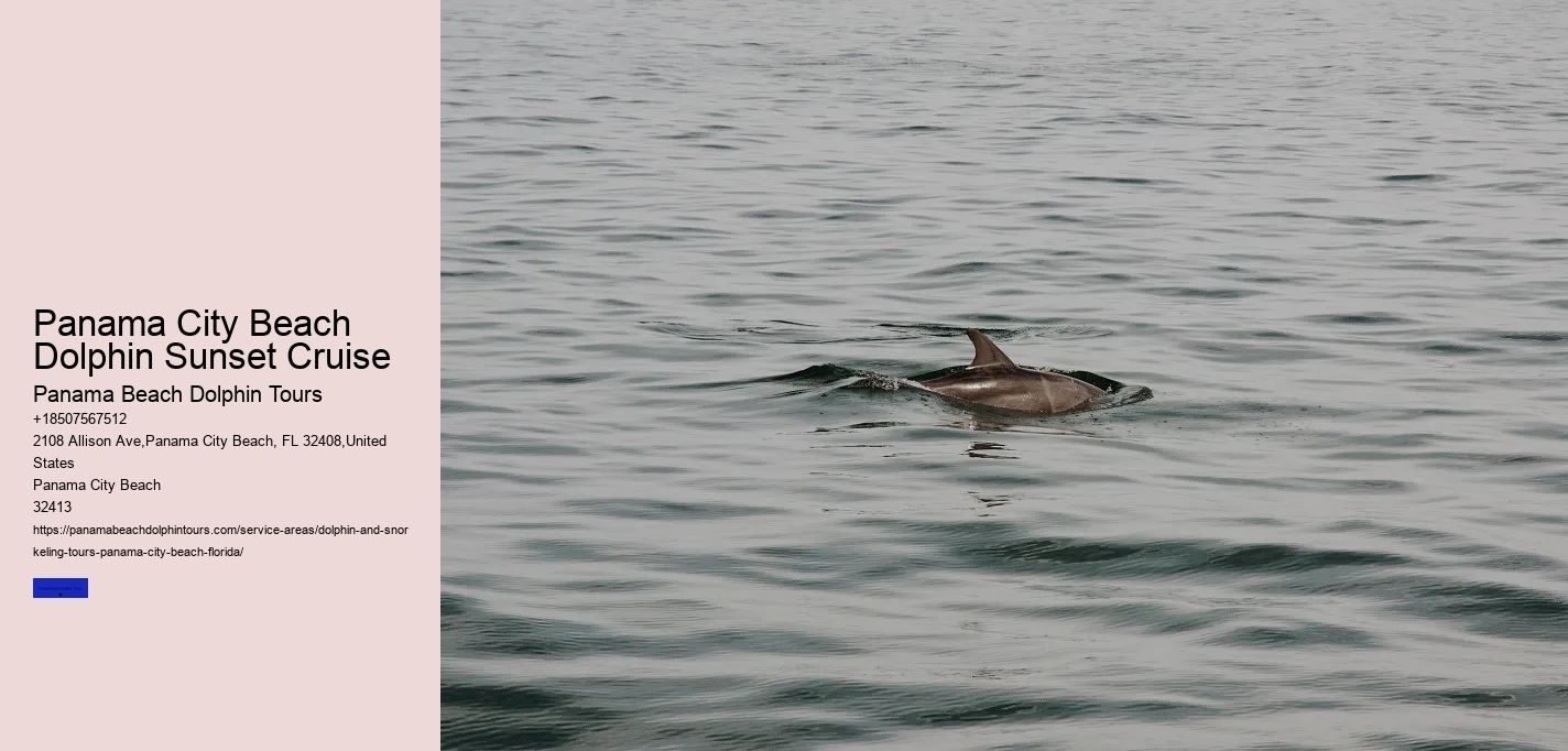 Panama City Beach Dolphin Sunset Cruise