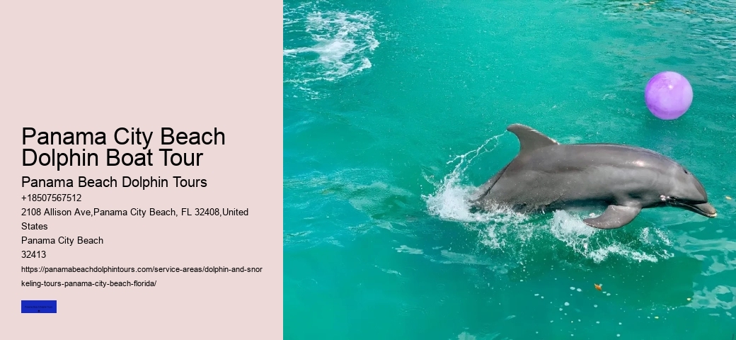 Dolphin And Snorkeling Tours Panama City Beach