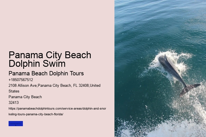 Best Dolphin Tour Panama City Beach