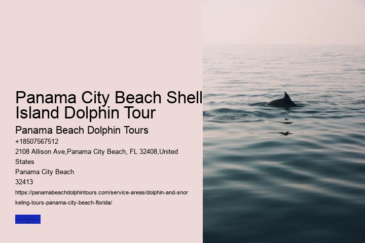 Panama City Beach Shell Island Dolphin Tour