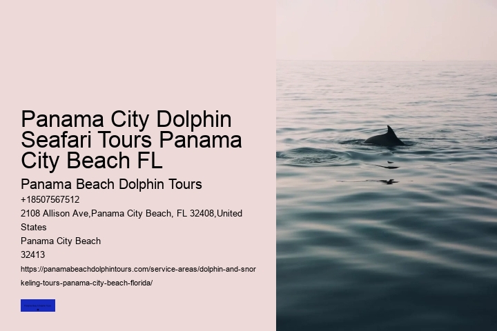 Panama City Dolphin Seafari Tours Panama City Beach FL