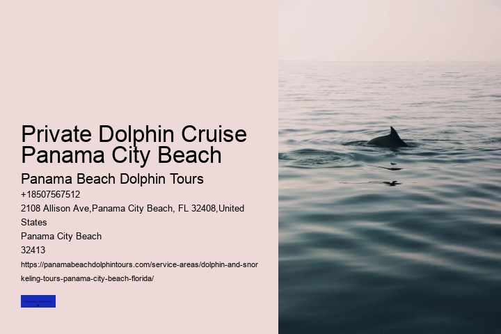 Private Dolphin Cruise Panama City Beach