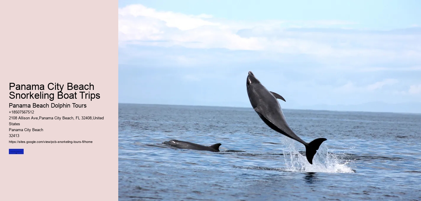 Panama City Beach Snorkeling Boat Trips